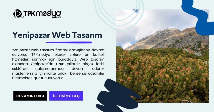 Yenipazar Web Tasarım